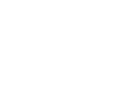 Debt Consulting Service